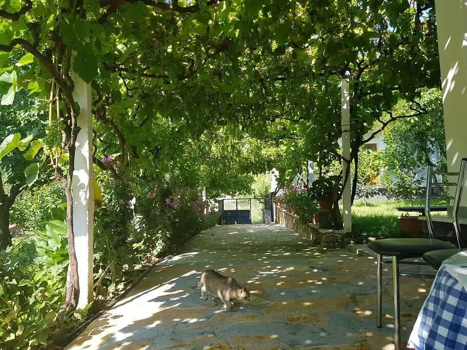Holiday home Holidayhome With 100% Bio Food Maliq